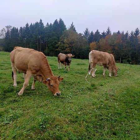 Appartamento Haus Lindenfeld Ruhstorf an der Rott Esterno foto
